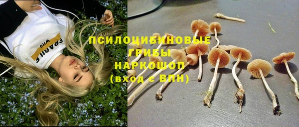 прущие крисы Михайлов