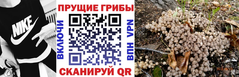 Псилоцибиновые грибы мухоморы  Новое Девяткино 
